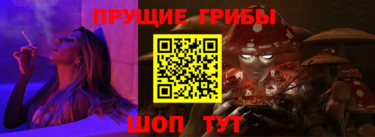 Псилоцибиновые грибы мицелий Ковров